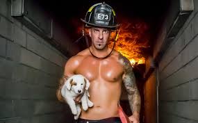 http://www.firerescuedogs.com/