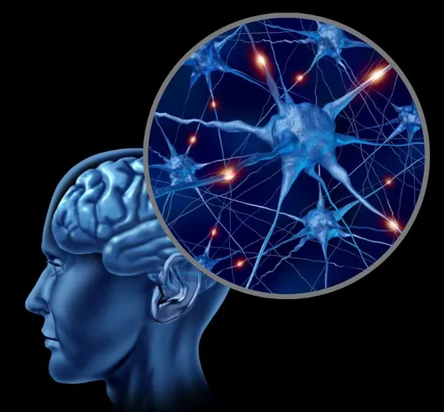 Profile of a person and their brain.  There is a circle showing the connections and energy within the brain