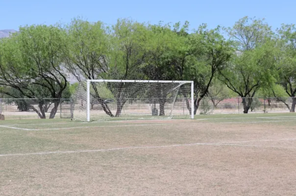 Soccer field and goal